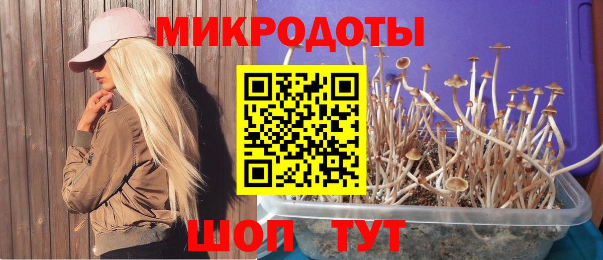 Кунгур  Псилоцибиновые грибы Magic Shrooms  Вход с VPN  что такое наркотик  Псилоцибиновые грибы Psilocybe 